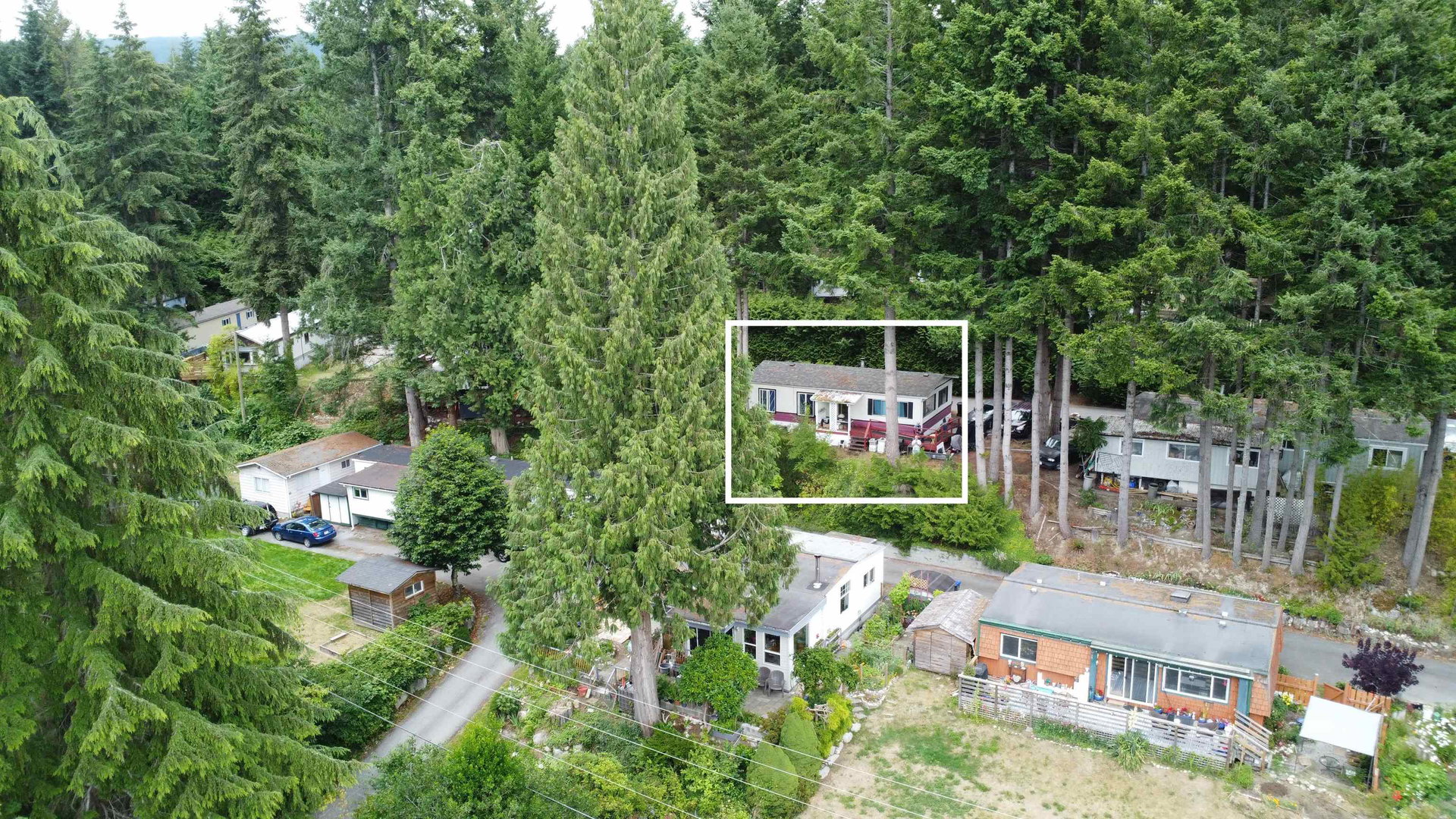 R3145218
