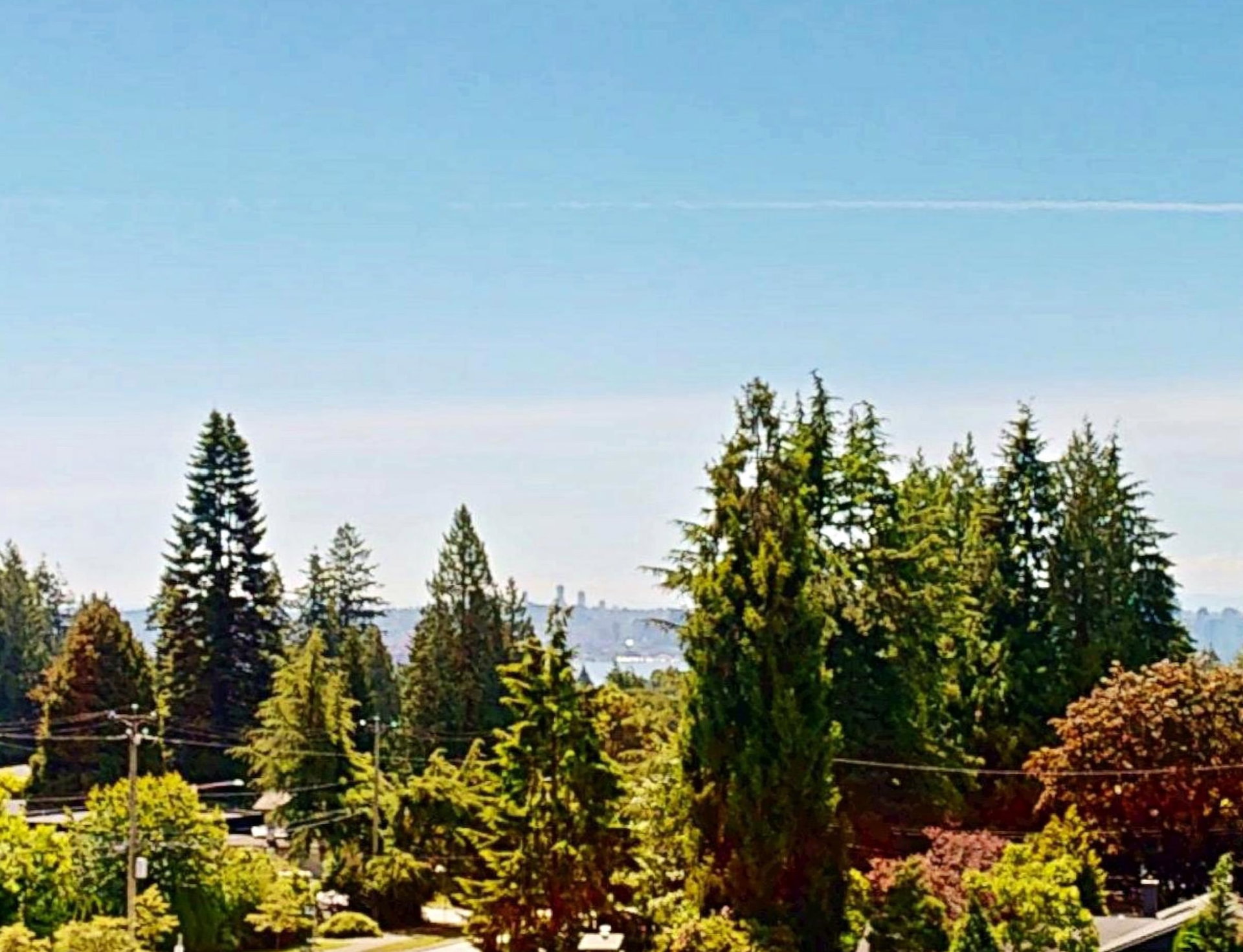 R3173996