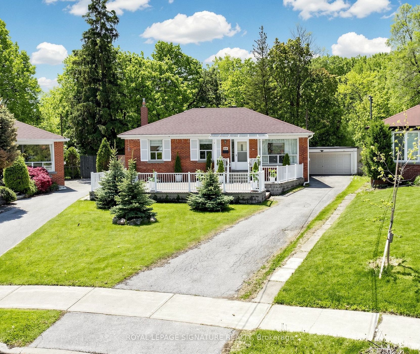 E13181534